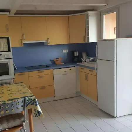 Duplex 3 Pieces Avec Piscine, Climatisation Et Garage A Port Camargue - Fr-1-250-192 Apartment *